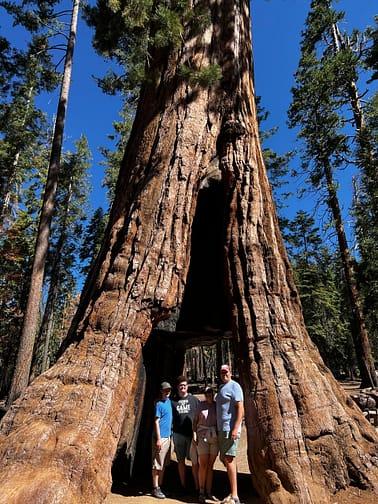 Jesse, Shaina, David, and Jason in a sycamore